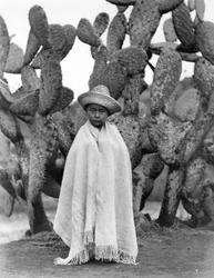 Junge vor einem Kaktus, Bundesstaat Veracruz, Mexiko, 1927 (Schwarz-Weiß-Foto)